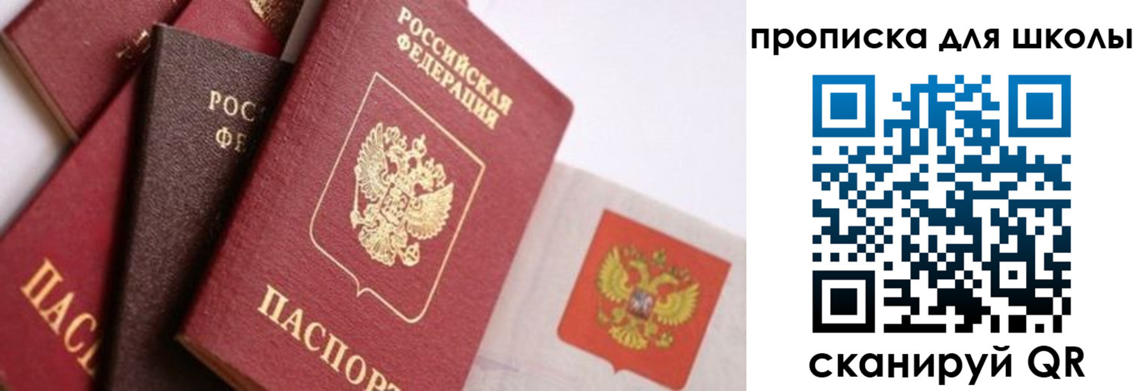 прописка поиск в Нижних Сергах